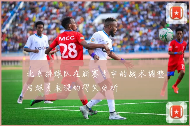 北京排球队在新赛季中的战术调整与球员表现的得失分析