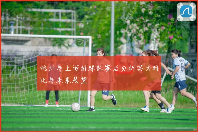 杭州与上海排球队赛后分析实力对比与未来展望