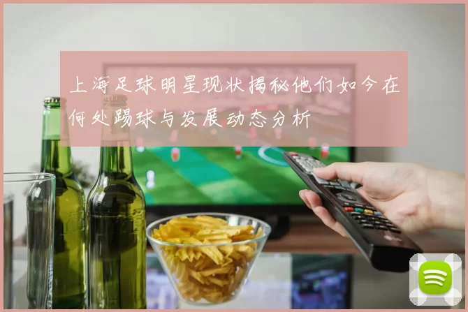 上海足球明星现状揭秘他们如今在何处踢球与发展动态分析