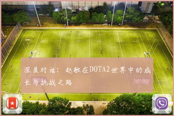 深度对话：赵敏在DOTA2世界中的成长与挑战之路