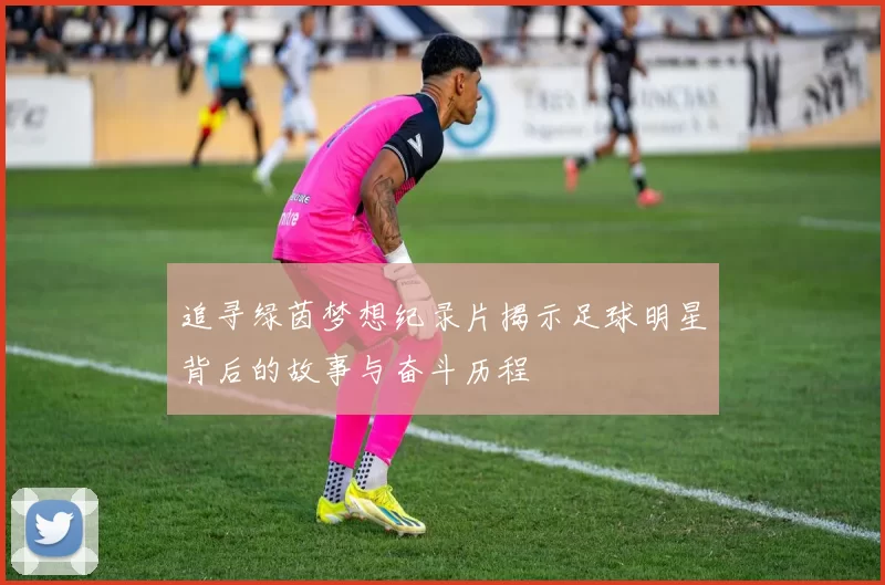 追寻绿茵梦想纪录片揭示足球明星背后的故事与奋斗历程