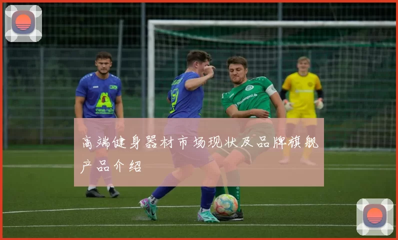 高端健身器材市场现状及品牌旗舰产品介绍