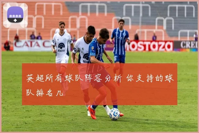 英超所有球队阵容分析 你支持的球队排名几