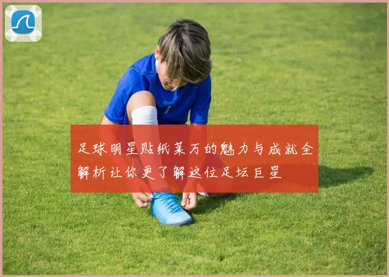 足球明星贴纸莱万的魅力与成就全解析让你更了解这位足坛巨星