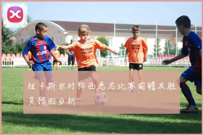 纽卡斯尔对阵西悉尼比赛前瞻及胜负预测分析